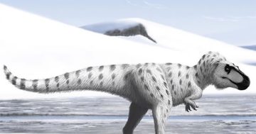 Cuddly baby dinosaurs: A discovery of those who called the Arctic home