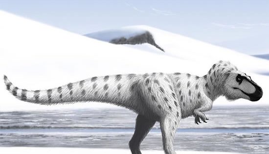 Cuddly baby dinosaurs: A discovery of those who called the Arctic home