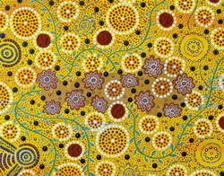 New targets for Indigenous procurement