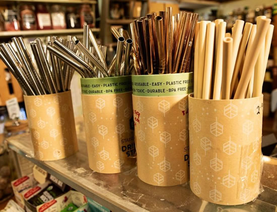 Environmental impact: Is reusable always best? | PS News