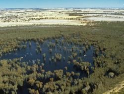 New management plan for Wheatbelt