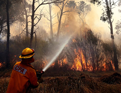 Local firefighters blaze trail to Canada