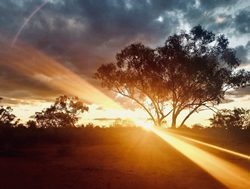 New climate plan on road to renewables
