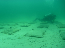 Underwater sandbags to protect seagrass
