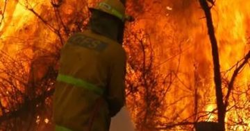 Bushfire management plan put out