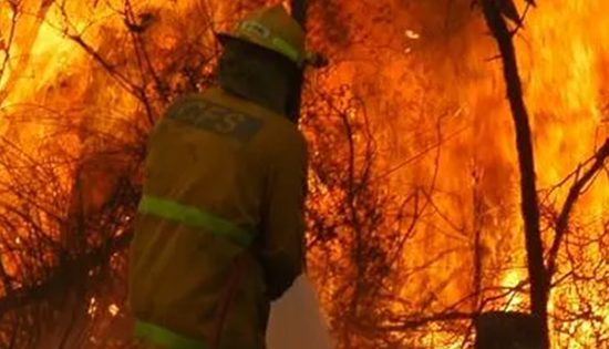 Bushfire management plan put out