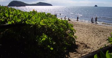 Impressive wonders of Queensland’s Palm Cove