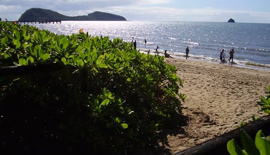 Impressive wonders of Queensland’s Palm Cove
