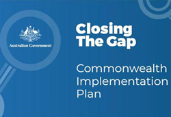 Implementation plan to Close the Gap