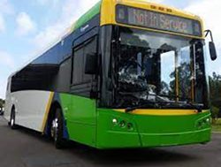 Hybrid buses to drive both ways