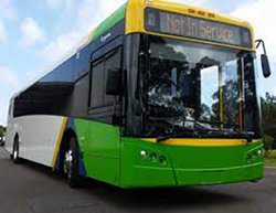 Hybrid buses to drive both ways