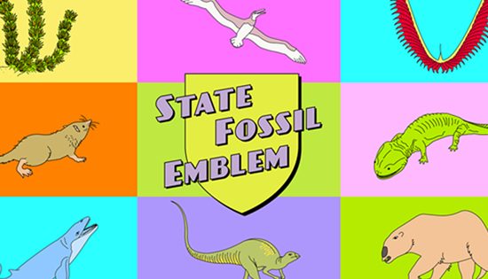 Museum survey to dig up fossil emblem