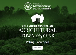Votes being cast for Ag Town of the Year