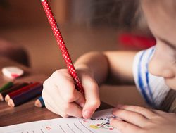 Help at hand for home-learning families
