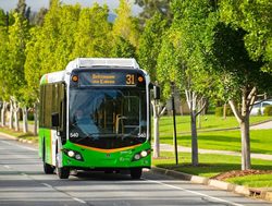 Buses reroute to their holiday timetable