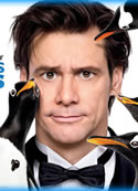 Mr Popper’s Penguins