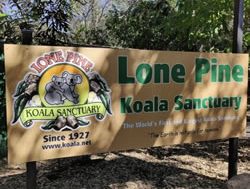 Lone Pine to make friends with tourists