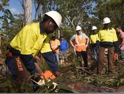 Opinions invited on outback job services