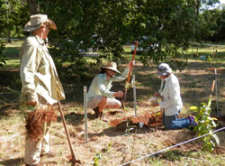 Landcare review open to reshaping