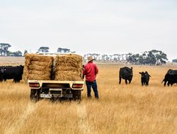 Farmers crop up for mental health help