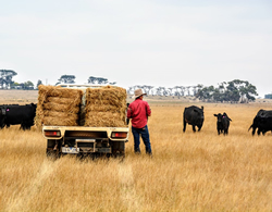 Farmers crop up for mental health help