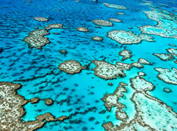 Mapping breakthrough a key to saving Reef