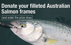 Researchers collect fish frames for science