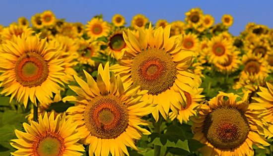 Positivity has great power — so use it