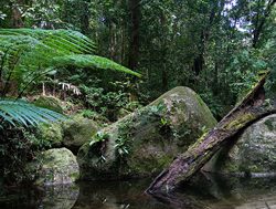 Indigenous owners reclaim Cape land