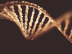 Police investigate US DNA technology