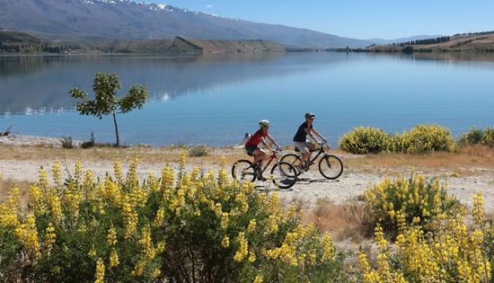 Adventure New Zealand cycling tour