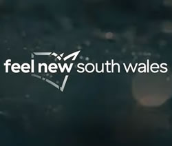 Tourism campaign puts feelers out