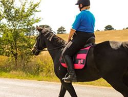 Tight rein advised when roads run near horses