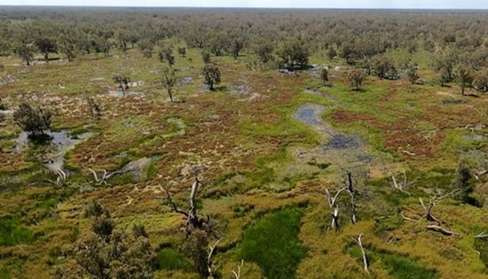 The right to a healthy environment: What it means for climate policy