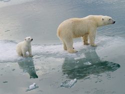 Agreeing to agree: The consensus on climate change gets even stronger