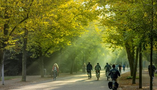 ‘Green’ Amsterdam ready for COVID reopening