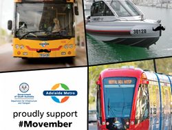 No hair spared as transport adopts Movember