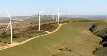 SA joins partnership to net zero emissions