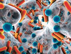 Health sees antibiotics as world’s next crisis