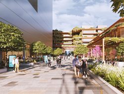 Community to help shape Woden precinct