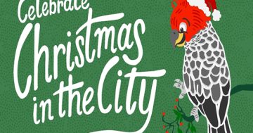 City gearing up for a festive Christmas