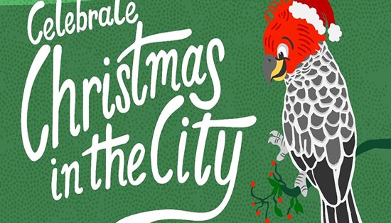 City gearing up for a festive Christmas