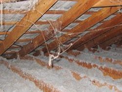 Home renovators warned about asbestos