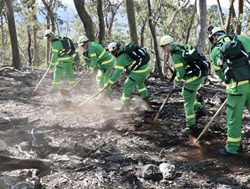 FFM recruits ready to battle bushfire season