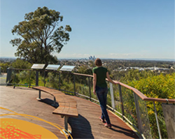 Comments invited on new Bold Park plan