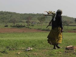 Fighting climate change by educating women