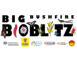 Citizen scientists wanted for bushfire data