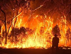 Police fire up bushfire safety plan