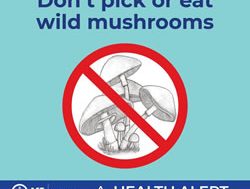 Deadly mushrooms spark health warning