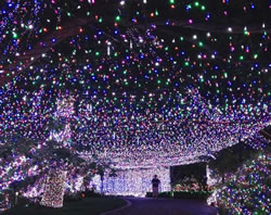Warning not to take Christmas lights lightly